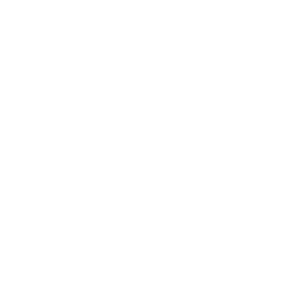 La mision