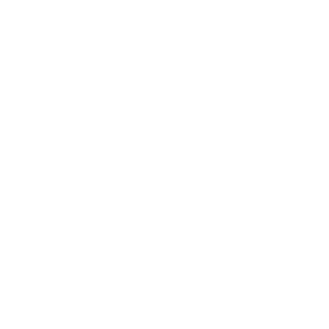 holiday inn
